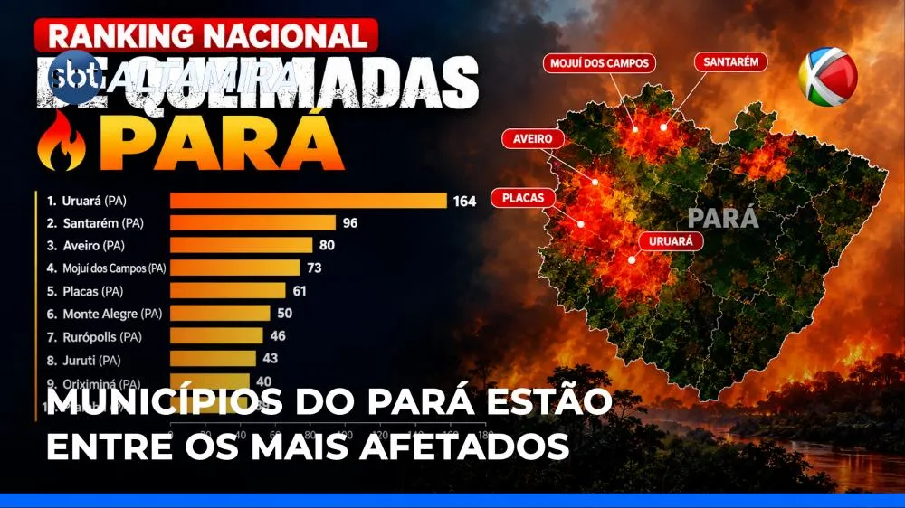 Vídeo