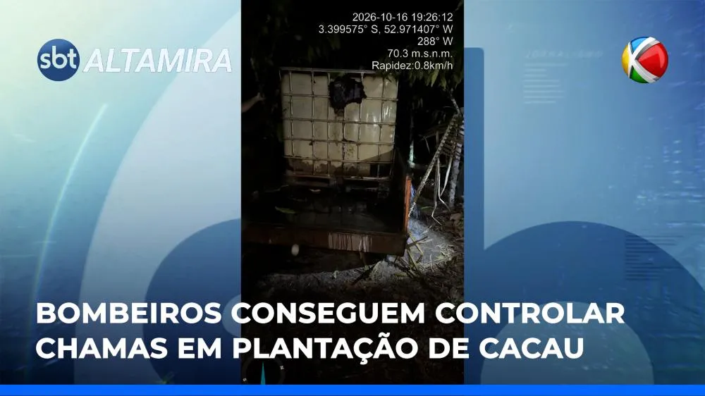 Vídeo
